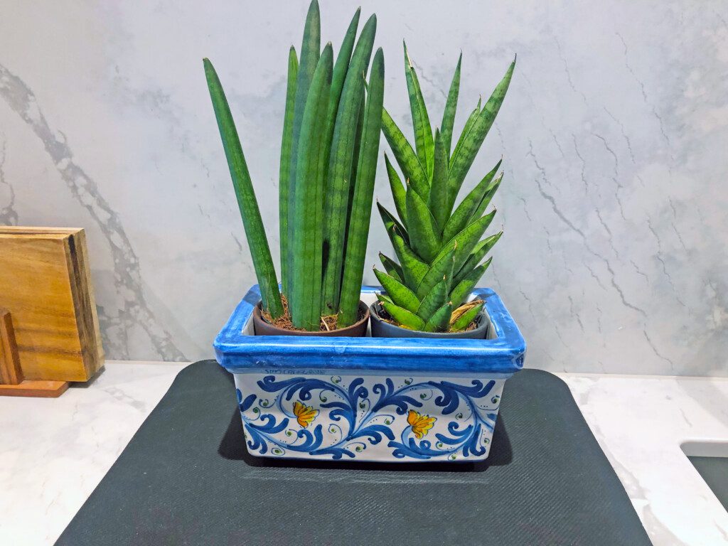 59987aef ea45 42d2 a593 d50640633ef1