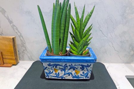 59987aef ea45 42d2 a593 d50640633ef1