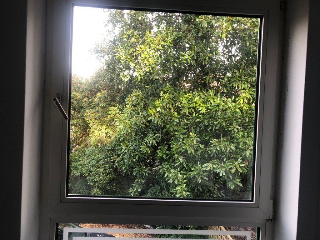 80cea61e 5a86 4ccd 9fab 203f19c39e0d