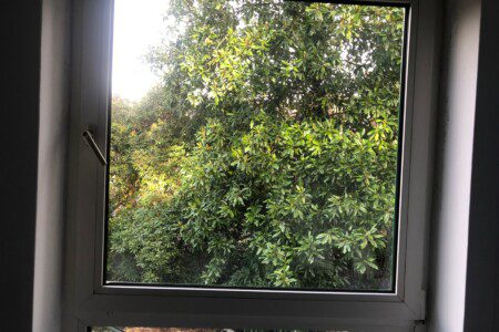 80cea61e 5a86 4ccd 9fab 203f19c39e0d